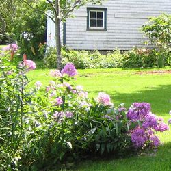 �Ƒ��̕���